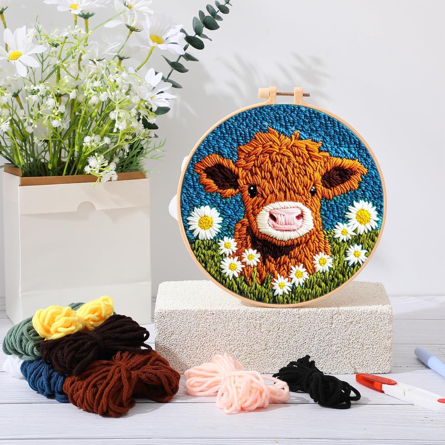 CHENISTORY Kit di aghi per pun - Embroidery Converter recensione e prezzo